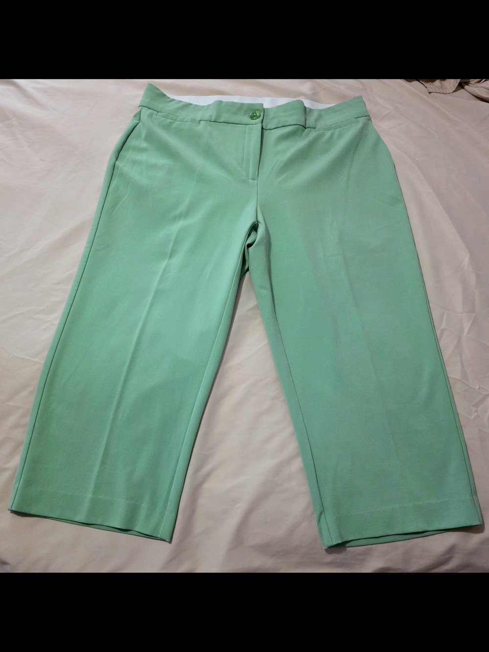 Briggs New York Mint Green Cropped Dress Capris